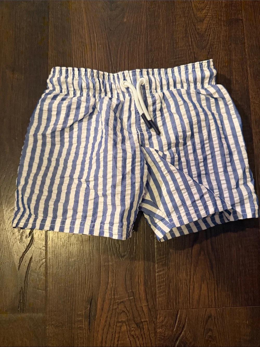 Cat & Jack Blue and White Striped Kids Swim Trunks